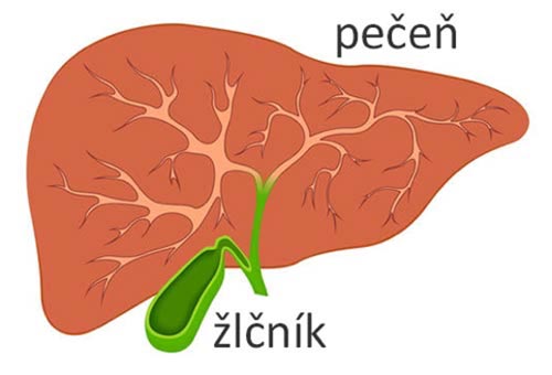 Očista pečene, žlčníka a odstránenie žlčových kameňov prirodzeným spôsobom