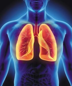 Tradičná čínska Medicína, Element KOV: pľúca a hrubé črevo